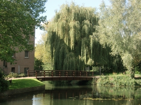 Venlo-Tegelen : Kasteellaan, Schloss Holtmühle, Schlossgraben